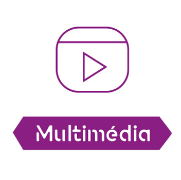 Curso Profissional de Multimédia